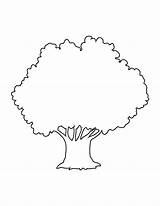 5 Printable Coloring Pages Of Trees For  Etsy sketch template