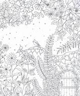 Relaxační Omalovánky  Nový Hit Antistresové Zentangle sketch template