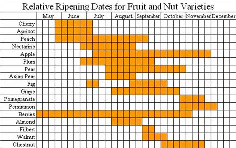 Tips on Buying Fruit Trees