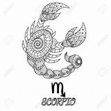 Realistic Scorpio Coloring Page  ColoringBay sketch template
