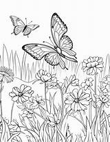 35 Farm Coloring Pages Free Sheets sketch template