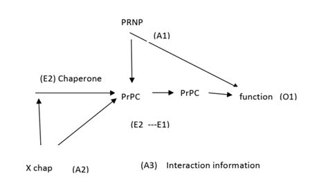 Multi modular interaction | Download Scientific Diagram