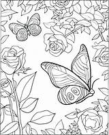 Small Butterfly Coloring Pages At GetColoringscom  Free Printable sketch template