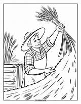 135  Boerderij Kleurplaten Voor Kinderen & Volwassenen Gratis PDF sketch template