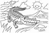 Free Crocodile Coloring Page  Printable Pages sketch template