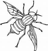 Fly coloring Page  Animals Town color Sheet Free sketch template