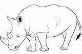 Printable Rhino Coloring Page  ColoringBay sketch template