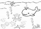 Sea Sponge Coloring Page At GetColoringscom  Free Printable Colorings sketch template