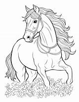 50 Horse Coloring Pages Printable Cute Sheets sketch template