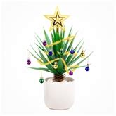 Christmas Festive Plant Baubles | Find Me A Gift