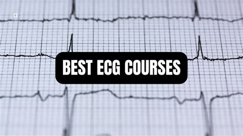 5 Best ECG Courses For Beginners - [OCT 2024]