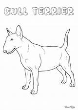 Bull Terrier Coloring Pages Free Printable PDFs  WakeTheKids sketch template