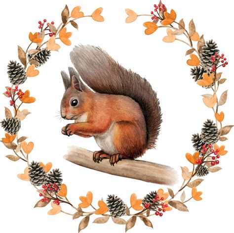 Watercolor realistic red squirrel in a fall wreath 3245113 Vector Art at Vecteezy