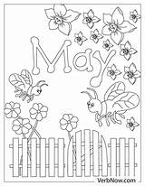 Free MAY Coloring Pages For Download Printable PDF sketch template