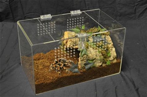 Terrarium for Tarantula Tarantula Habitat, Tarantula Enclosure, Pet ...