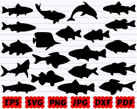 Fish SVG Fish SVG Bundle Fish Silhouette Fish Cut File - Etsy