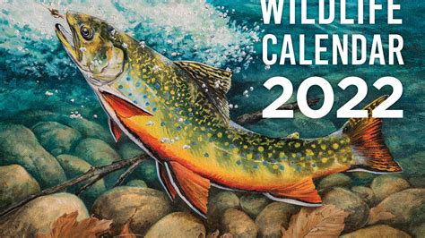 2022 West Virginia Wildlife Calendar available to purchase - WVDNR