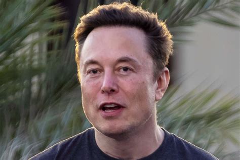 Elon Musk’s previous comment hints at the Robotaxi news we can expect during Tesla’s AI day this ...