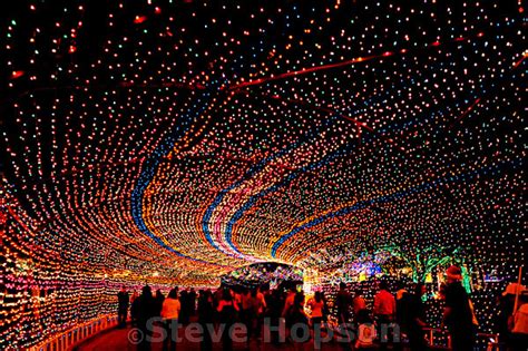 Trail of Lights, Austin | Austin's annual Trail of Lights in… | Flickr