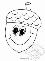 Black And White Acorn  Coloring Page sketch template