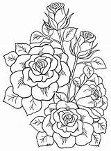 Adult Coloring Pages Of Roses sketch template