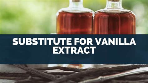 Substitute For Vanilla Extract (Essence, Syrups, Powder)