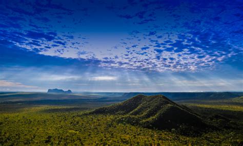 Le Cerrado, grand oublié de la lutte contre la déforestation au Brésil ...