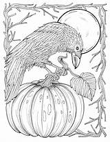 Fall Crow Digital Coloring Page Thanksgiving Harvest Adult  sketch template