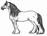 Printable Horse Breed Coloring Pages & Book For Kids sketch template