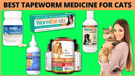 Best Tapeworm Medicine For Cats😾How to Get Rid Of Cat Worms Easily - YouTube