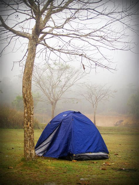 Blue Dome Tent Under Bare Tree · Free Stock Photo