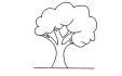 How to Draw a Simple Tree? | Step by Step Simple Tree Drawing for Kids