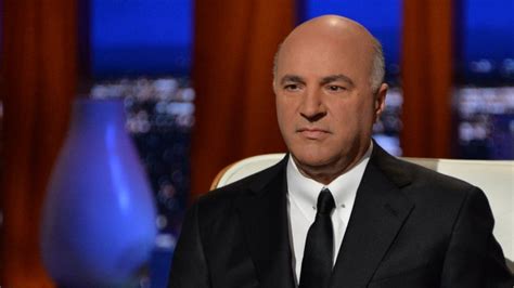 They Call Him 'Mr. Wonderful,' but Here's Why Kevin O'Leary Is Good for ...