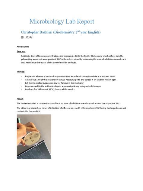 Microbiology Lab Report | PDF | Bacteria | Biology