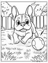 30 French Bulldog Coloring Pages Free Printable PDFs sketch template