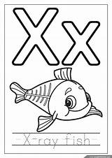 X Ray Printable Coloring Pages  Kirkhoytkaseem sketch template