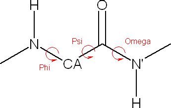 Build a peptide