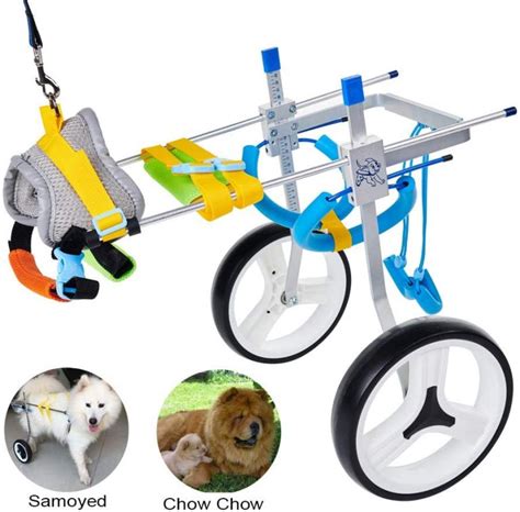 🥇7 Best Dog Wheelchairs to Buy in (May 2022) - Buyer’s Guide