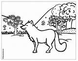 Forest coloring Pages To Download And Print For Free sketch template