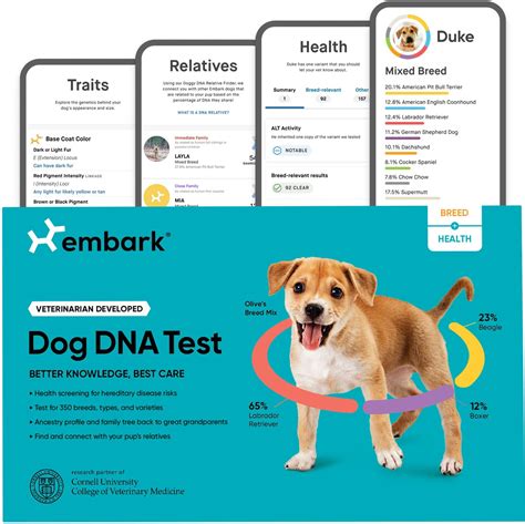 Embark Breed & Ancestry Identification, Trait & Health Detection Dog DNA Test Kit - Chewy.com