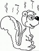 Skunk And Flower Coloring Page  Free Printable Pages For Kids sketch template