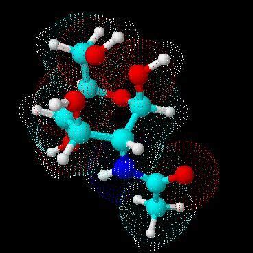 The Biological Building Blocks | CancerQuest