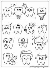 20  Tooth Coloring Pages Free Printable PDF & Online sketch template