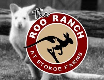 The Roo Ranch by Stokoe Farms - Petting Zoo Scottsville, NY - The Bash