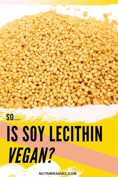 Is Soy Lecithin Vegan? The Answer May Surprise You - NutriBraniac | Plant based diet, Sunflower ...