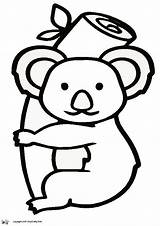 Coloring Clip Koala Clipart Bear Drawing Animals Cartoon Outline Pages  sketch template