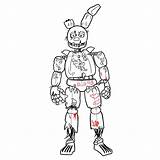 Springtrap Coloring Page  Pages sketch template