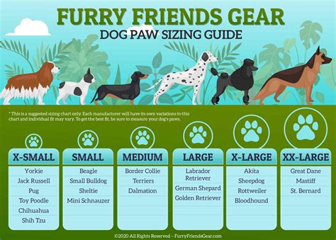 Dog Paw Size Chart, Best 3 Ways To Size Dog's Paws (Helpful)