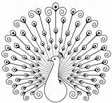 Peacock coloring Pages  ColoringLib sketch template
