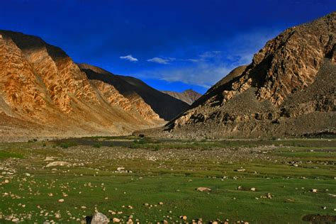 Nature India Tours: Ladakh - Birding in cold desert (21st July to 30th July, 2014 )